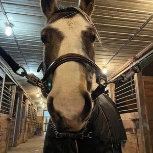 Meet your Posher, Jaime